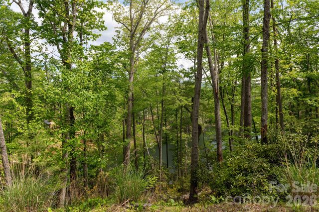 00 Deer Park Lake Road, Spruce Pine, NC 28777