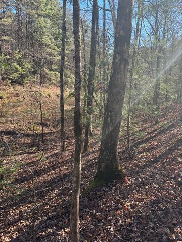 1.03 Deep Forest Road, Murphy, NC 28906