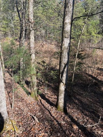 1.03 Deep Forest Road, Murphy, NC 28906