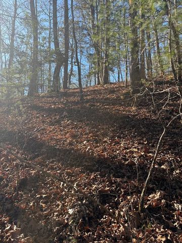 1.03 Deep Forest Road, Murphy, NC 28906