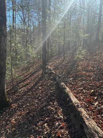 1.03 Deep Forest Road, Murphy, NC 28906
