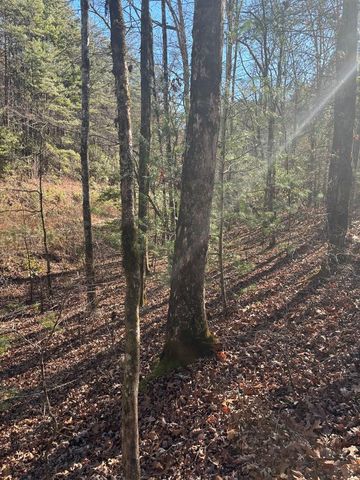 1.03 Deep Forest Road, Murphy, NC 28906