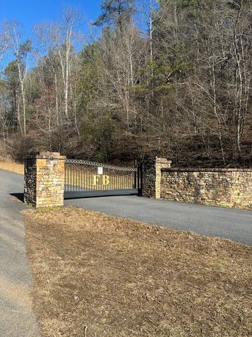 1.03 Deep Forest Road, Murphy, NC 28906
