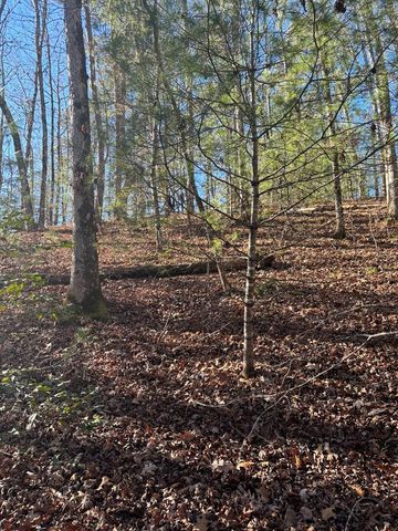1.03 Deep Forest Road, Murphy, NC 28906