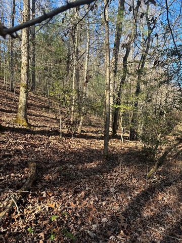 1.03 Deep Forest Road, Murphy, NC 28906