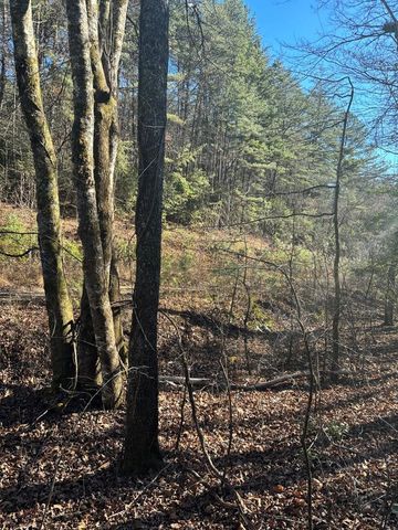 1.03 Deep Forest Road, Murphy, NC 28906