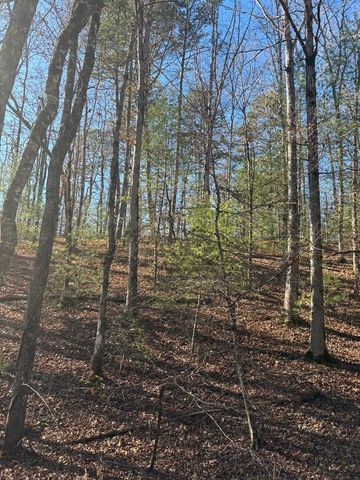 1.03 Deep Forest Road, Murphy, NC 28906