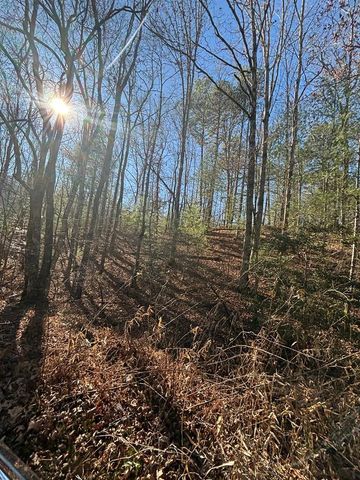 1.03 Deep Forest Road, Murphy, NC 28906