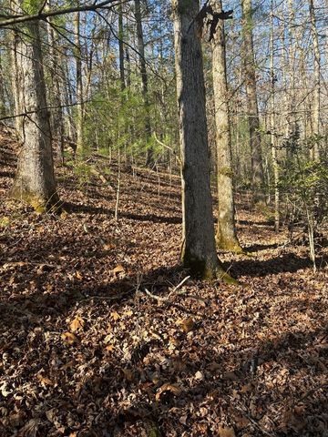 1.03 Deep Forest Road, Murphy, NC 28906
