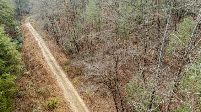 1.03 Deep Forest Road, Murphy, NC 28906