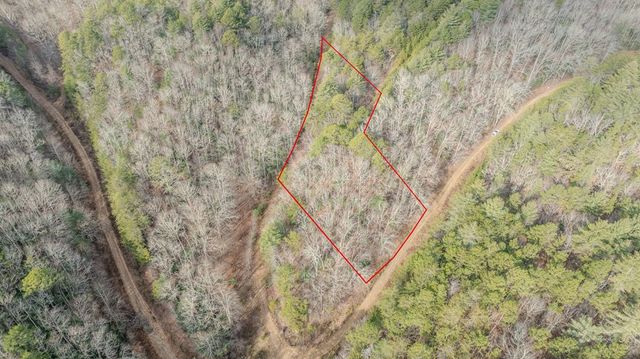 1.03 Deep Forest Road, Murphy, NC 28906