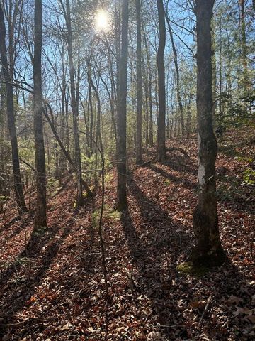 1.03 Deep Forest Road, Murphy, NC 28906