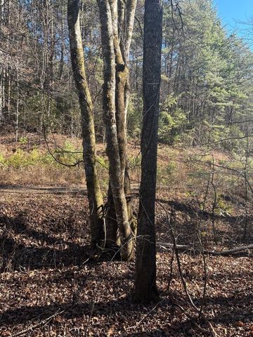 1.03 Deep Forest Road, Murphy, NC 28906