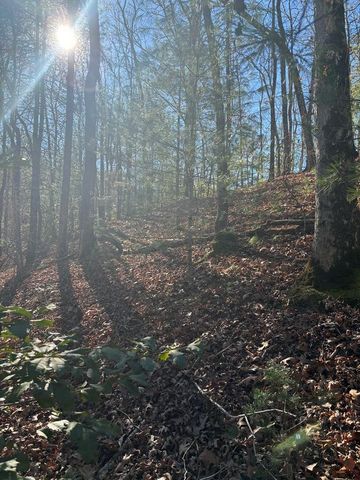 1.03 Deep Forest Road, Murphy, NC 28906