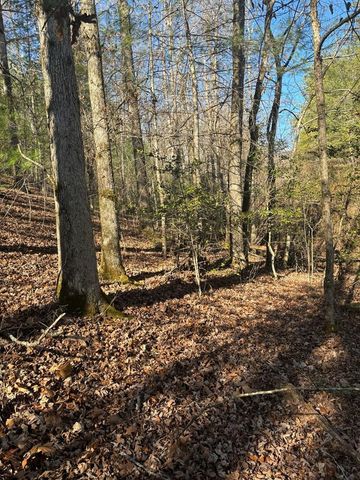 1.03 Deep Forest Road, Murphy, NC 28906