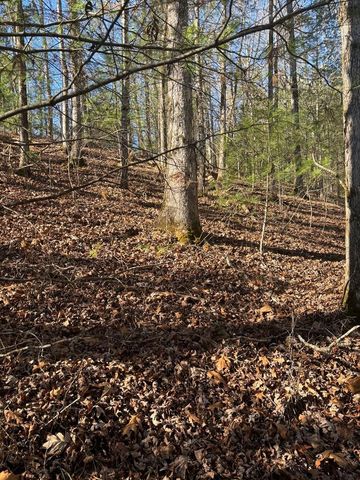 1.03 Deep Forest Road, Murphy, NC 28906