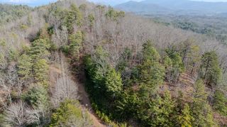 1.03 Deep Forest Road, Murphy, NC 28906