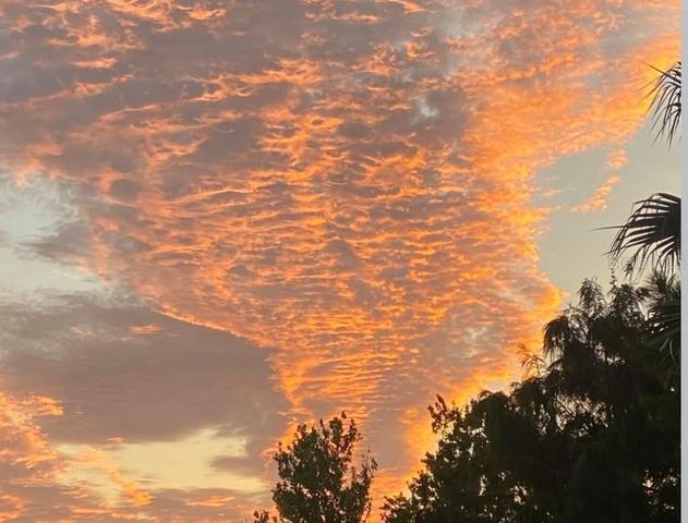 6336 BUFORD STREET 207, Orlando, FL 32835