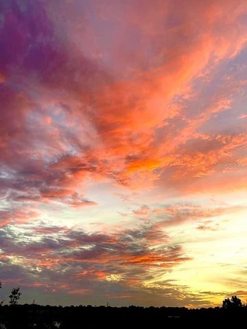 6336 BUFORD STREET 207, Orlando, FL 32835