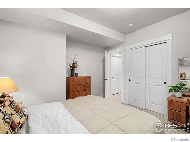 1539 Sandy Lane, Windsor, CO 80550