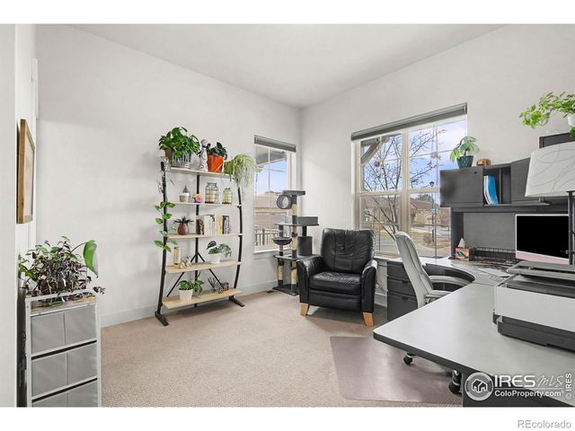 1539 Sandy Lane, Windsor, CO 80550