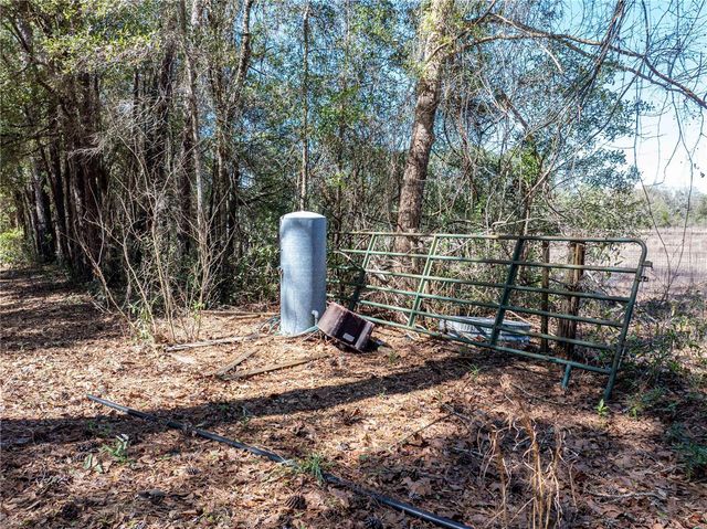 609 NW 96TH PLACE, Branford, FL 32008