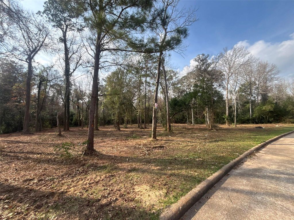 1746 Woodway Drive, Woodbranch, TX 77357