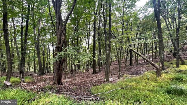 4593 OLD MARTINSBURG RD, Augusta, WV 26704