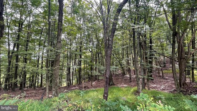 4593 OLD MARTINSBURG RD, Augusta, WV 26704
