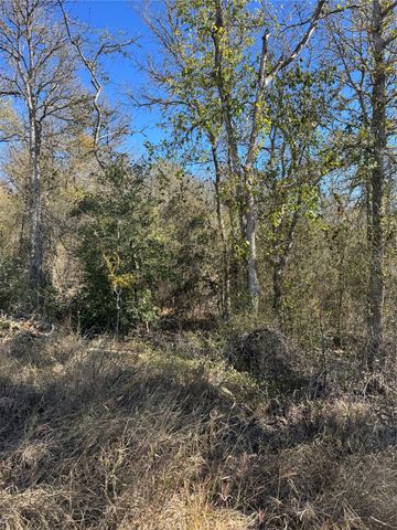 Lot 1013 Diamond Head DR, Bastrop, TX 78602