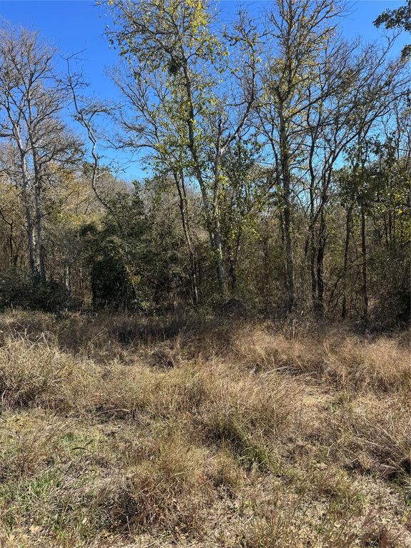 Lot 1013 Diamond Head DR, Bastrop, TX 78602
