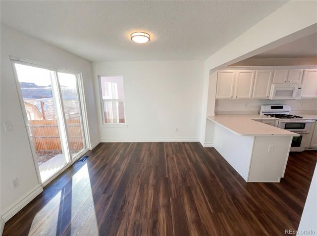 11094 Tim Tam Way, Parker, CO 80138