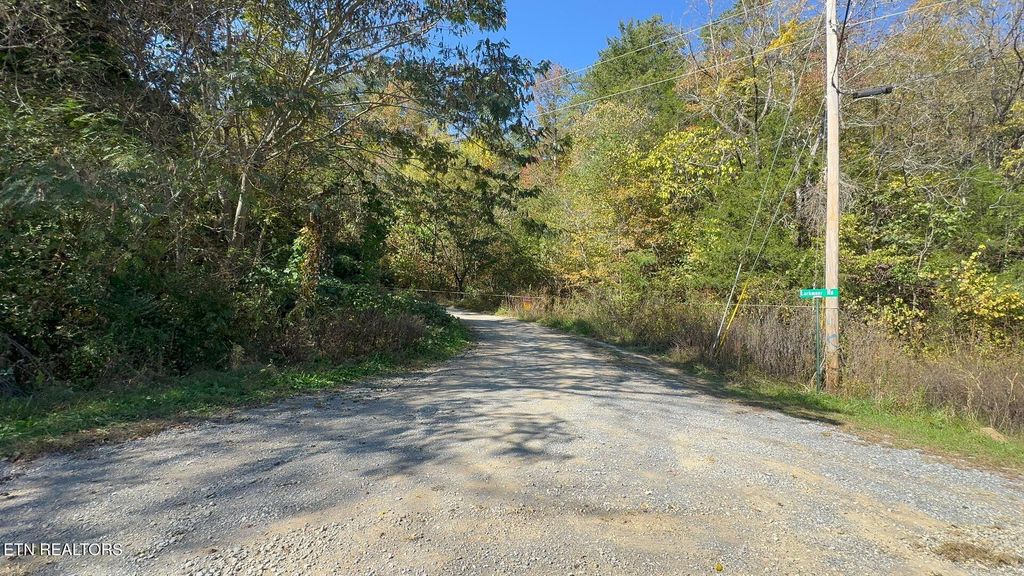 Padgett Mill Rd Off, Cosby, TN 37722