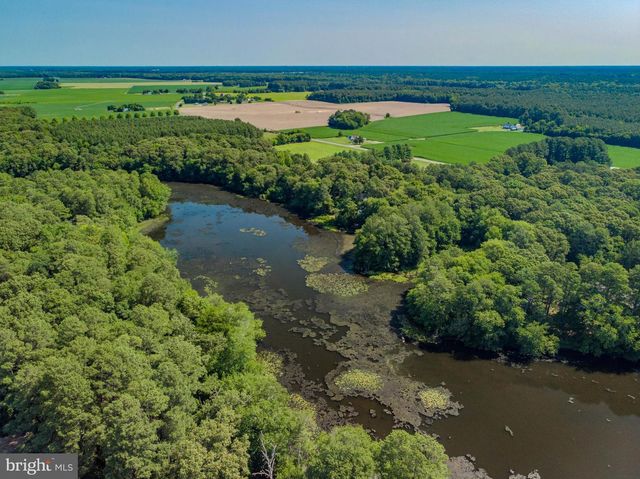 5715 GALESTOWN NEWHART MILL RD, Galestown, MD 21659