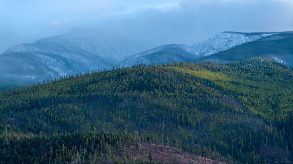 Lolo Peak Shadows, Lolo, MT 59847 photo 101
