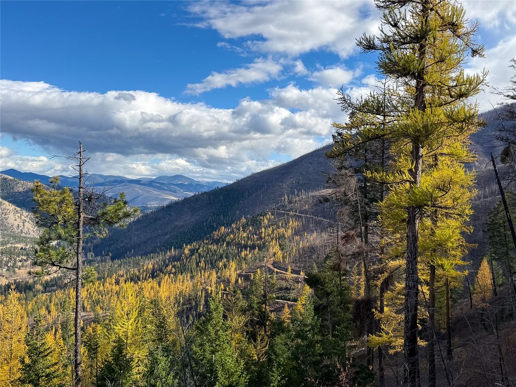 Lolo Peak Shadows, Lolo, MT 59847 photo 103