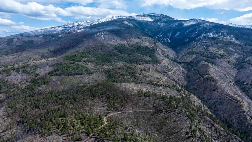 Lolo Peak Shadows, Lolo, MT 59847 photo 105