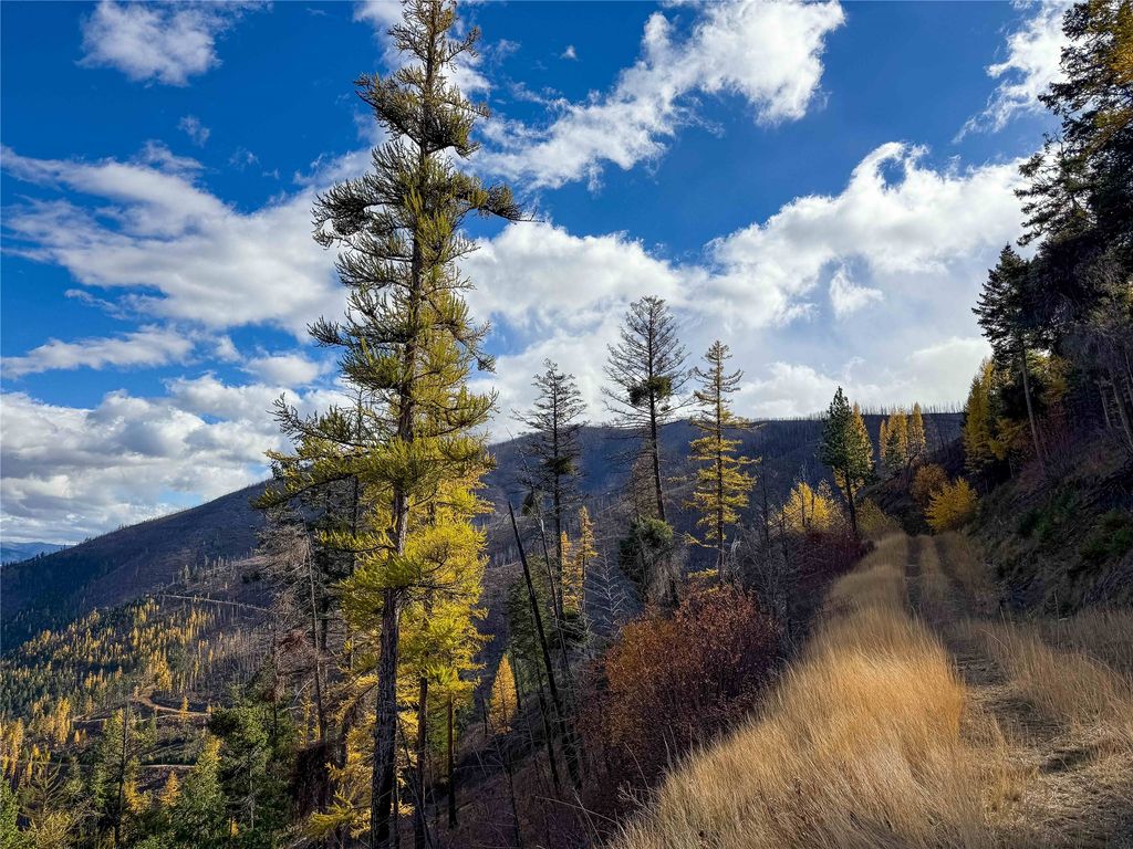 Lolo Peak Shadows, Lolo, MT 59847 photo 12