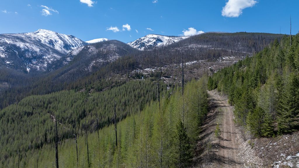 Lolo Peak Shadows, Lolo, MT 59847 photo 13