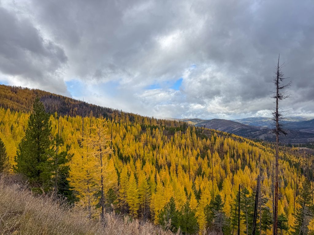 Lolo Peak Shadows, Lolo, MT 59847 photo 26
