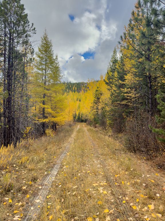 Lolo Peak Shadows, Lolo, MT 59847 photo 33