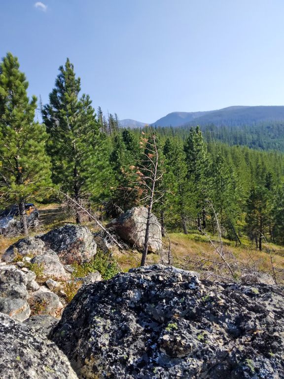 Lolo Peak Shadows, Lolo, MT 59847 photo 37