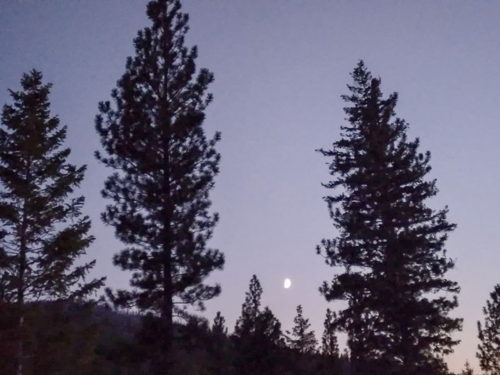 Lolo Peak Shadows, Lolo, MT 59847 photo 41