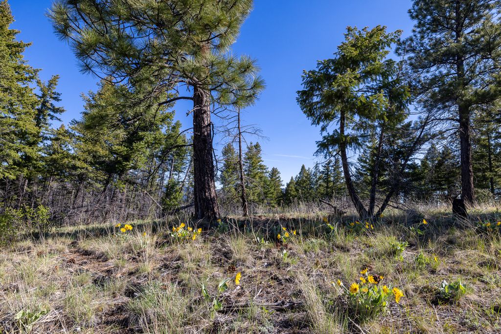 Lolo Peak Shadows, Lolo, MT 59847 photo 42