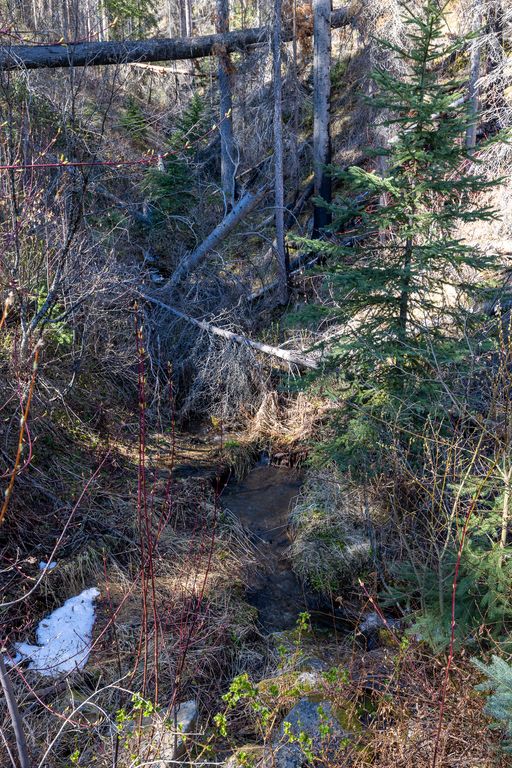 Lolo Peak Shadows, Lolo, MT 59847 photo 45