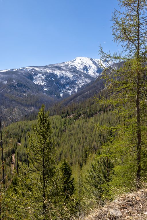 Lolo Peak Shadows, Lolo, MT 59847 photo 48