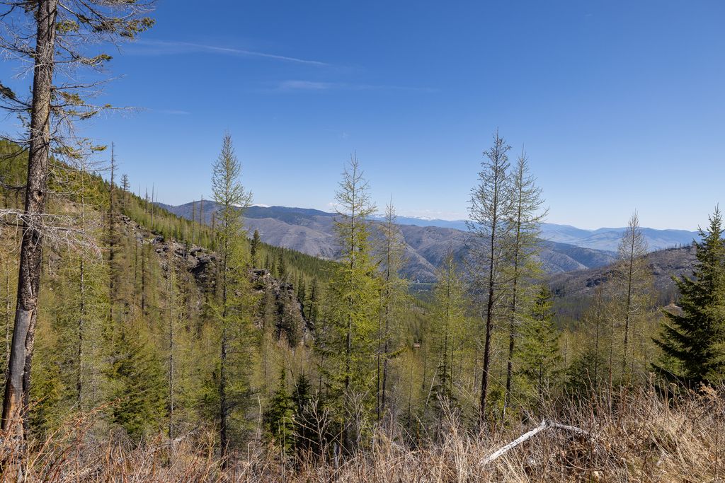 Lolo Peak Shadows, Lolo, MT 59847 photo 49