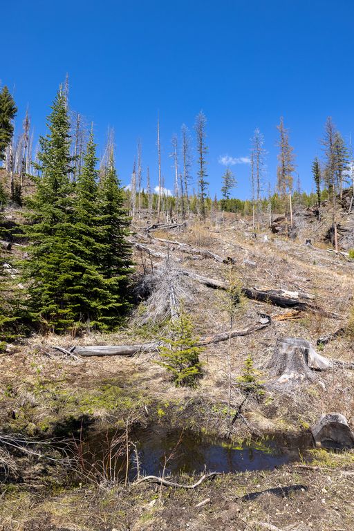 Lolo Peak Shadows, Lolo, MT 59847 photo 50
