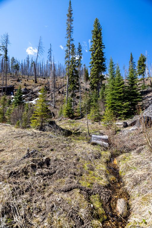 Lolo Peak Shadows, Lolo, MT 59847 photo 51