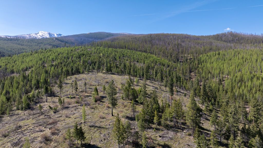 Lolo Peak Shadows, Lolo, MT 59847 photo 58